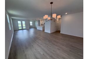30153 MISTY PINES ROAD, MOUNT DORA, FL 32757 - MLS#MFRTB8515288