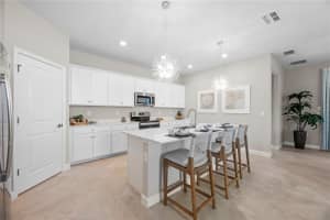 3609 AMBERSWEET CROSSING, PARRISH, FL 34219 - MLS#MFRTB8515383