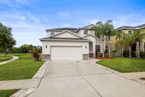 3603 MORGONS CASTLE COURT, LAND O LAKES, FL 34638 - MLS#MFRTB8515387