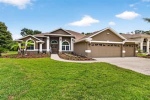 3904 NINE DRIVE, VALRICO, FL 33596 - MLS#MFRTB8515419