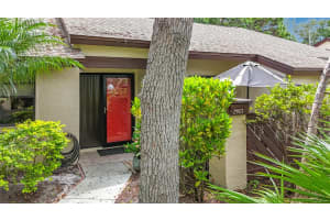 2983 ELDER COURT, PALM HARBOR, FL 34684 - MLS#MFRTB8515434