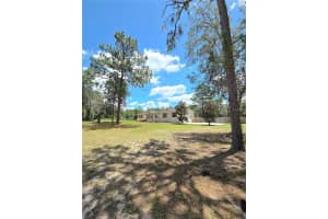 29341 SADDLE OAKS LANE, BROOKSVILLE, FL 34602 - MLS#MFRTB8515461
