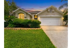 13419 Eudora Pl, TAMPA 13419 Eudora Pl, TAMPA
