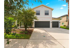 14843 HERONGLEN DRIVE, LITHIA, FL 33547 - MLS#MFRTB8515497