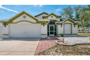10536 SALISBURY STREET, RIVERVIEW, FL 33569 - MLS#MFRTB8515542