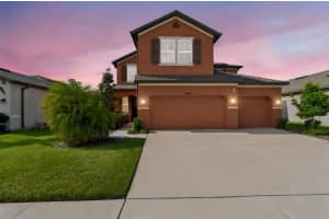 11804 BLUEGRASS FIELD COURT, RIVERVIEW, FL 33579 - MLS#MFRTB8515568