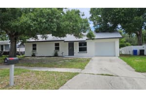 3725 Ambermist Dr, TAMPA 3725 Ambermist Dr, TAMPA