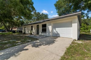 3725 AMBERMIST DRIVE, TAMPA, FL 33619 - MLS#MFRTB8515572