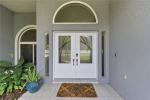 17024 WINNERS CIRCLE, ODESSA, FL 33556 - MLS#MFRTB8515575