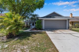7110 HOLLOWELL DRIVE, TAMPA, FL 33634 - MLS#MFRTB8515577
