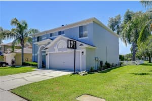 19312 SEA MIST LANE, LUTZ, FL 33558 - MLS#MFRTB8515635