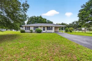 39901 OTIS ALLEN ROAD, ZEPHYRHILLS, FL 33540 - MLS#MFRTB8515654