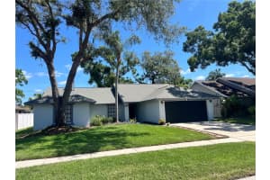 15026 Redcliff Dr, TAMPA 15026 Redcliff Dr, TAMPA