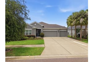 17735 BRIGHT WHEAT DRIVE, LITHIA, FL 33547 - MLS#MFRTB8515710