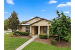 14130 Barrington Stowers Dr, LITHIA 14130 Barrington Stowers Dr, LITHIA