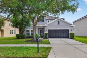9634 OAK GLADE AVENUE, TAMPA, FL 33647 - MLS#MFRTB8515765