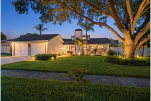 420 OXFORD ROAD, PALM HARBOR, FL 34683 - MLS#MFRTB8515770