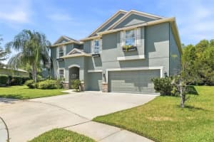 3987 Round Table Ct, LAND O LAKES 3987 Round Table Ct, LAND O LAKES