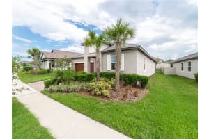 31467 CANNON RUSH DRIVE, SAN ANTONIO, FL 33576 - MLS#MFRTB8515806