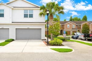 4751 White Sanderling Ct, TAMPA 4751 White Sanderling Ct, TAMPA