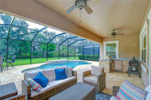 6335 KNOB TREE DRIVE, LITHIA, FL 33547 - MLS#MFRTB8515838