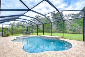 6335 KNOB TREE DRIVE, LITHIA, FL 33547 - MLS#MFRTB8515838