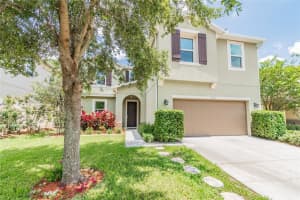 1113 Canyon Oaks Dr, BRANDON