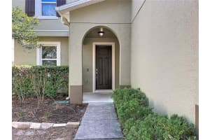 1113 CANYON OAKS DRIVE, BRANDON, FL 33510 - MLS#MFRTB8515873