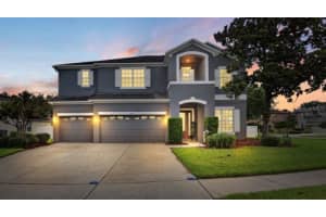 4419 Wildstar Cir, WESLEY CHAPEL 4419 Wildstar Cir, WESLEY CHAPEL