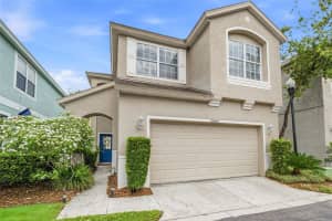 10606 DRAYTON COURT, TAMPA, FL 33626 - MLS#MFRTB8515946