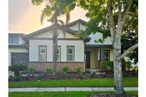 5208 ALAFIA FALLS DRIVE, LITHIA, FL 33547 - MLS#MFRTB8515960