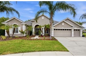 26641 Winged Elm Dr, WESLEY CHAPEL 26641 Winged Elm Dr, WESLEY CHAPEL