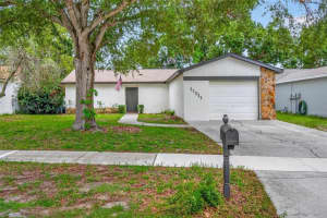 11511 PAPERWOOD PLACE, RIVERVIEW, FL 33579 - MLS#MFRTB8515981