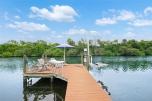 6825 MOUNT ORANGE DRIVE, ST PETERSBURG, FL 33702 - MLS#MFRTB8515989