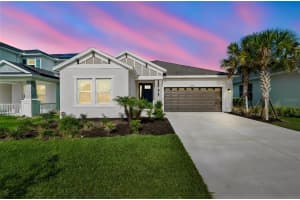 10569 Tranquil Meadow Loop, RIVERVIEW