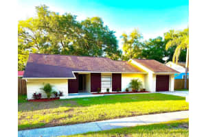 17644 Meadowbridge Dr, LUTZ 17644 Meadowbridge Dr, LUTZ
