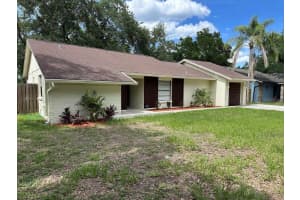 17644 MEADOWBRIDGE DRIVE, LUTZ, FL 33549 - MLS#MFRTB8516014
