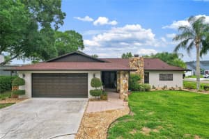 10 Arbor Ln, OLDSMAR 10 Arbor Ln, OLDSMAR