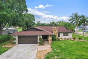 10 ARBOR LANE, OLDSMAR, FL 34677 - MLS#MFRTB8516041