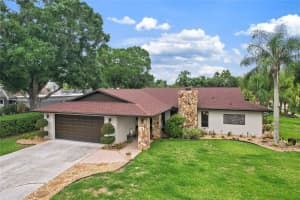 10 ARBOR LANE, OLDSMAR, FL 34677 - MLS#MFRTB8516041