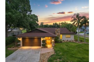 10 ARBOR LANE, OLDSMAR, FL 34677 - MLS#MFRTB8516041