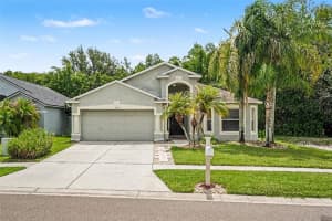 1852 Blanchard Ct, WESLEY CHAPEL 1852 Blanchard Ct, WESLEY CHAPEL
