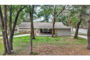 6906 GREENHILL PLACE, TAMPA, FL 33617 - MLS#MFRTB8516108