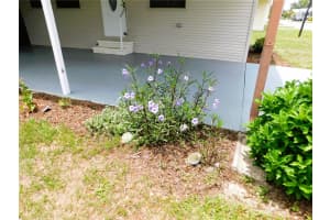 5315 ANTIGUA DRIVE, ZEPHYRHILLS, FL 33541 - MLS#MFRTB8516153