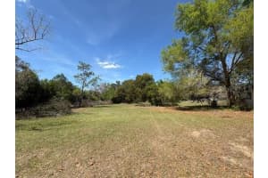 37247 NORTHSIDE DRIVE, ZEPHYRHILLS, FL 33541 - MLS#MFRTB8516193