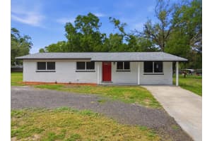 20514 MICKENS DRIVE, DADE CITY, FL 33523 - MLS#MFRTB8516212