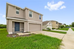 11926 DOWNY BIRCH DRIVE, RIVERVIEW, FL 33569 - MLS#MFRTB8516214