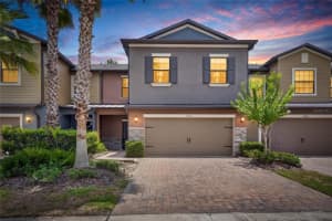 28511 PLEASANT BAY LOOP, WESLEY CHAPEL, FL 33543 - MLS#MFRTB8516225