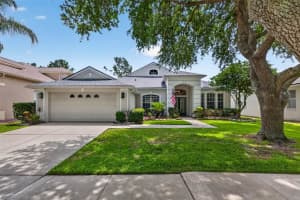 18127 HERON WALK DRIVE, TAMPA, FL 33647 - MLS#MFRTB8516287