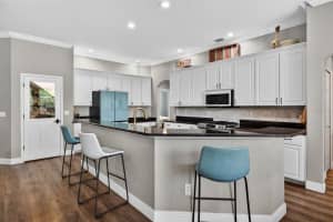 18127 HERON WALK DRIVE, TAMPA, FL 33647 - MLS#MFRTB8516287